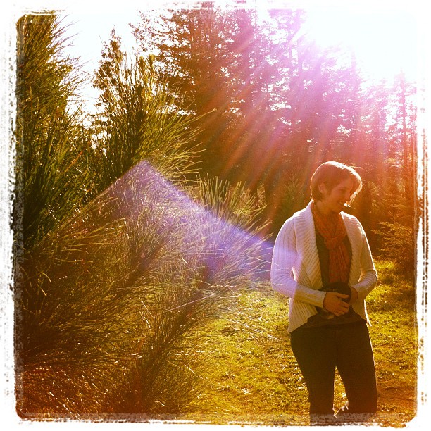 Into the tree farm (Taken with instagram)